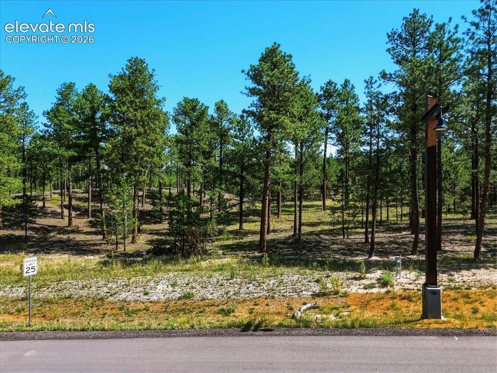 14931 Quartz Creek Drive, Colorado Springs, CO 80908 — photo 3