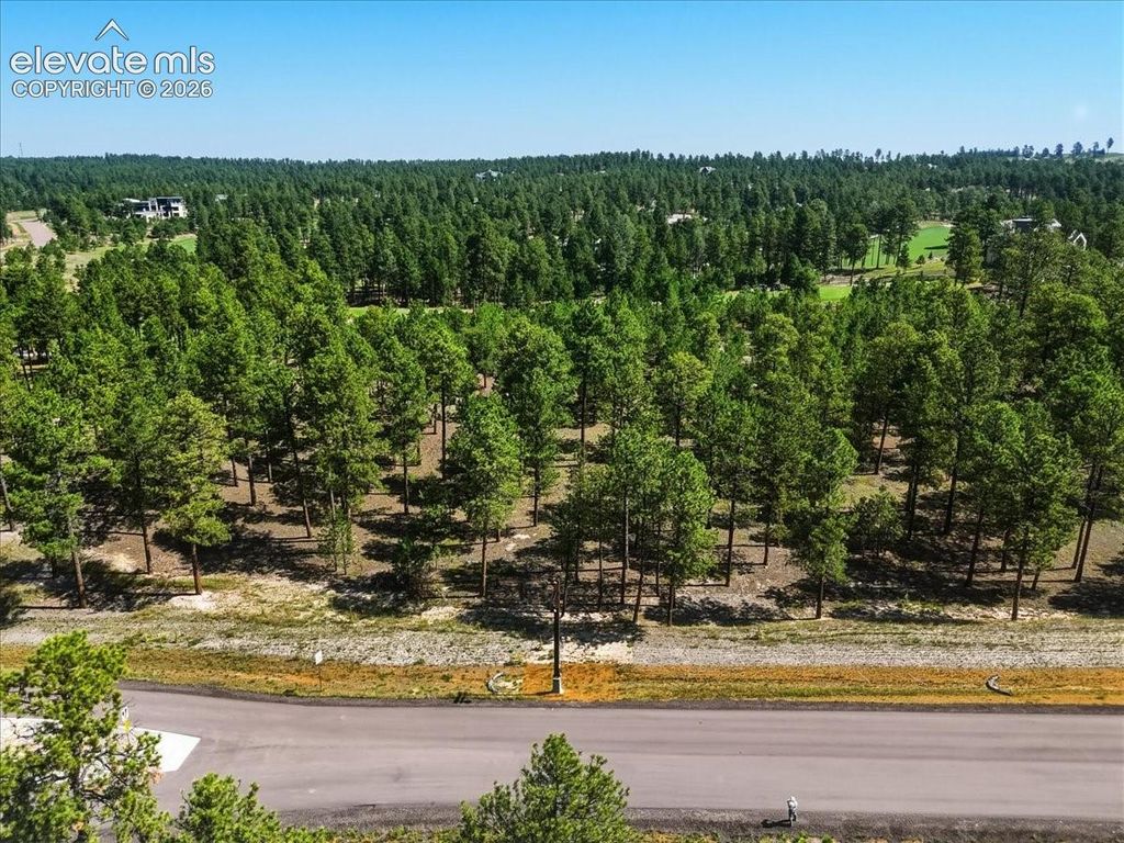 14931 Quartz Creek Drive, Colorado Springs, CO 80908 — photo 4