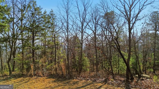 0 Mountain Sweet Drive LOTS 58 & 59, Clarkesville, GA 30523