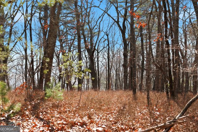 0 Mountain Sweet Drive LOTS 58 & 59, Clarkesville, GA 30523
