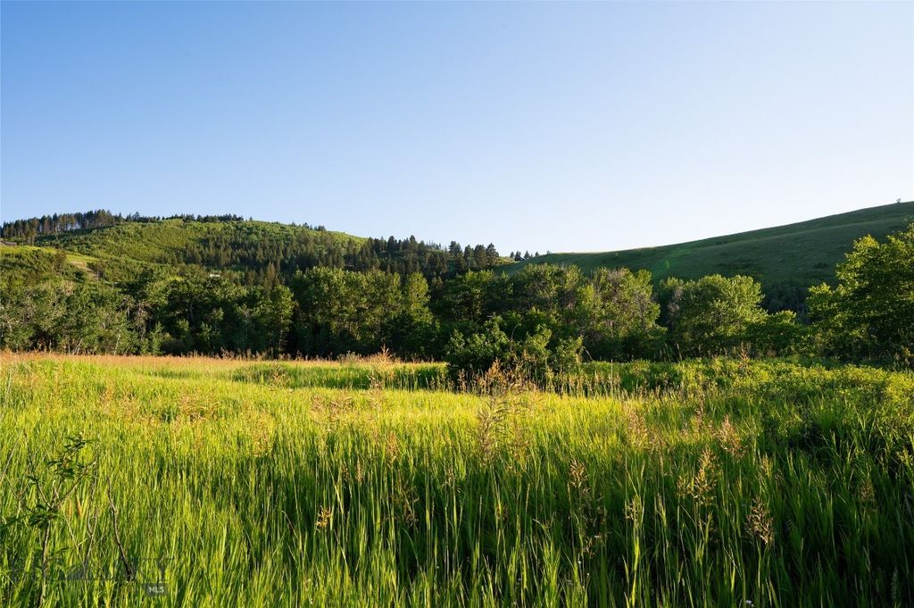 Parcel 8 Wilson Creek Road, Gallatin Gateway, MT 59730 photo 13