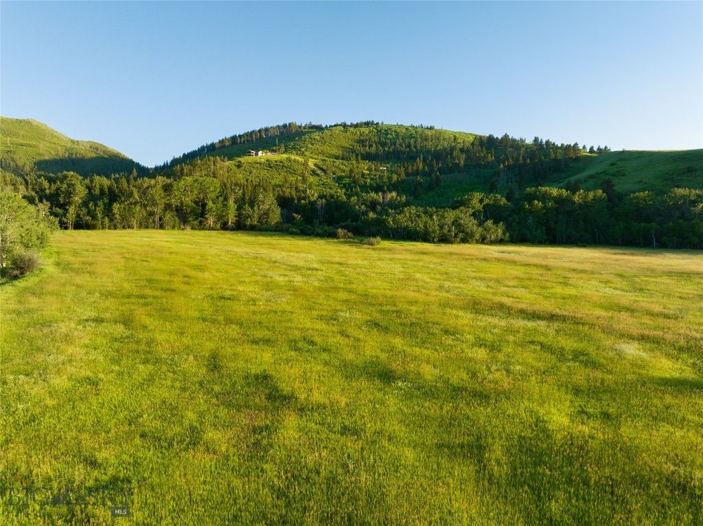 Parcel 8 Wilson Creek Road, Gallatin Gateway, MT 59730 photo 14
