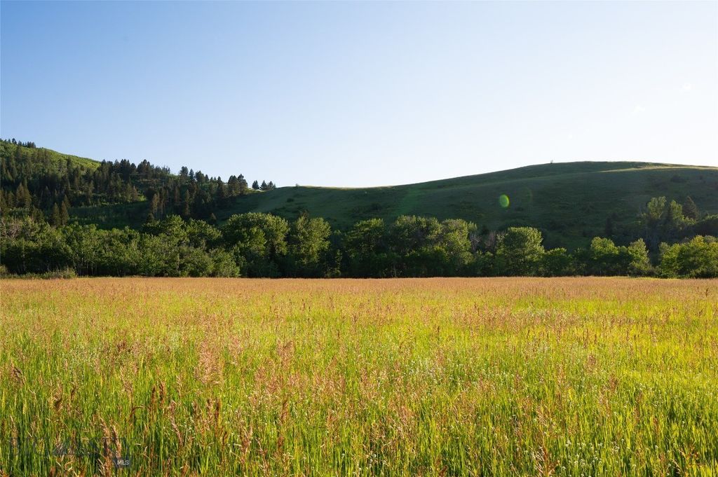 Parcel 8 Wilson Creek Road, Gallatin Gateway, MT 59730 photo 16
