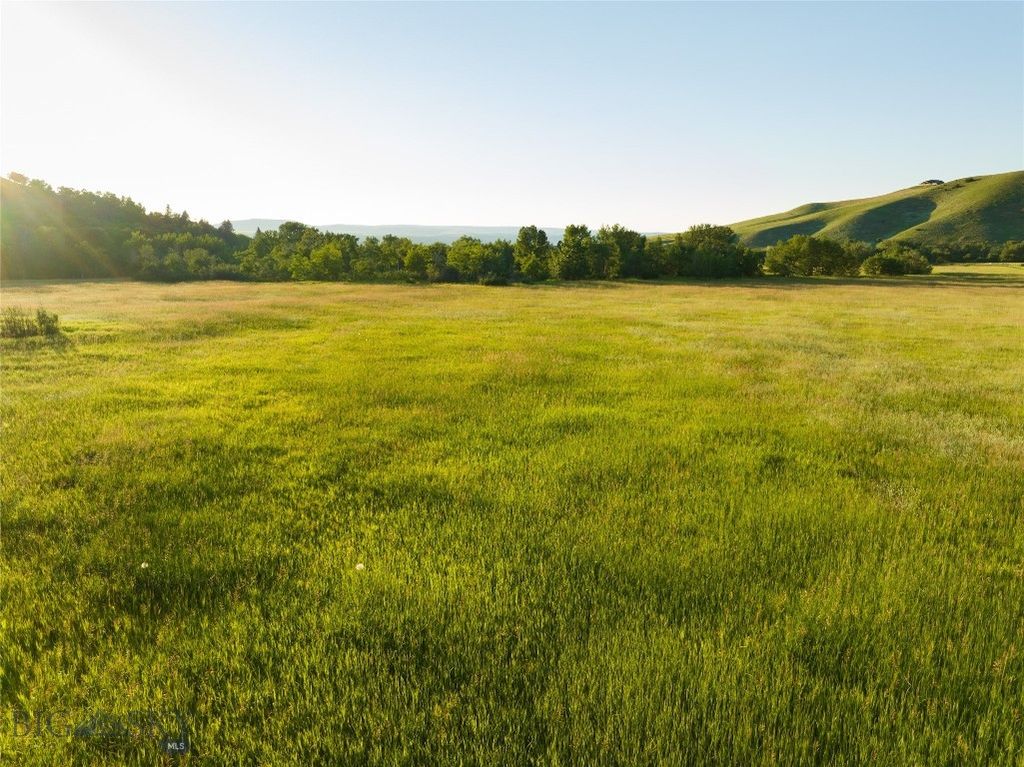 Parcel 8 Wilson Creek Road, Gallatin Gateway, MT 59730 photo 17