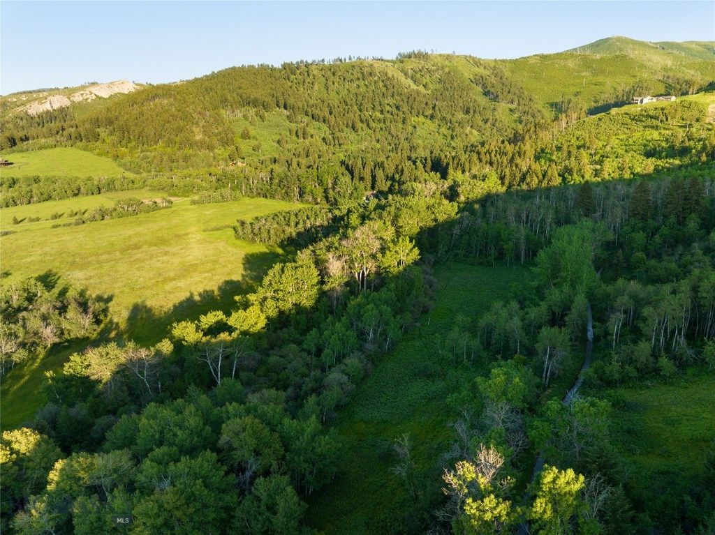 Parcel 8 Wilson Creek Road, Gallatin Gateway, MT 59730 photo 7