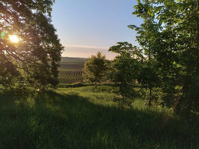 24543 County Highway 124, Fergus Falls, MN 56537