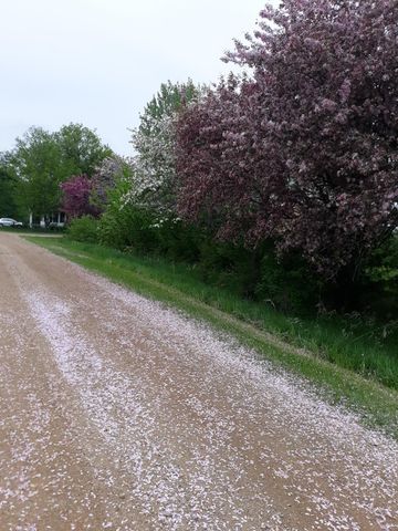 24543 County Highway 124, Fergus Falls, MN 56537