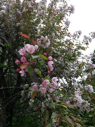 24543 County Highway 124, Fergus Falls, MN 56537