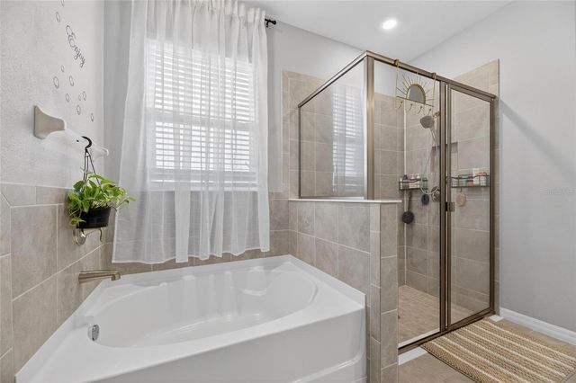 33146 SAND CREEK DRIVE, Wesley Chapel, FL 33543