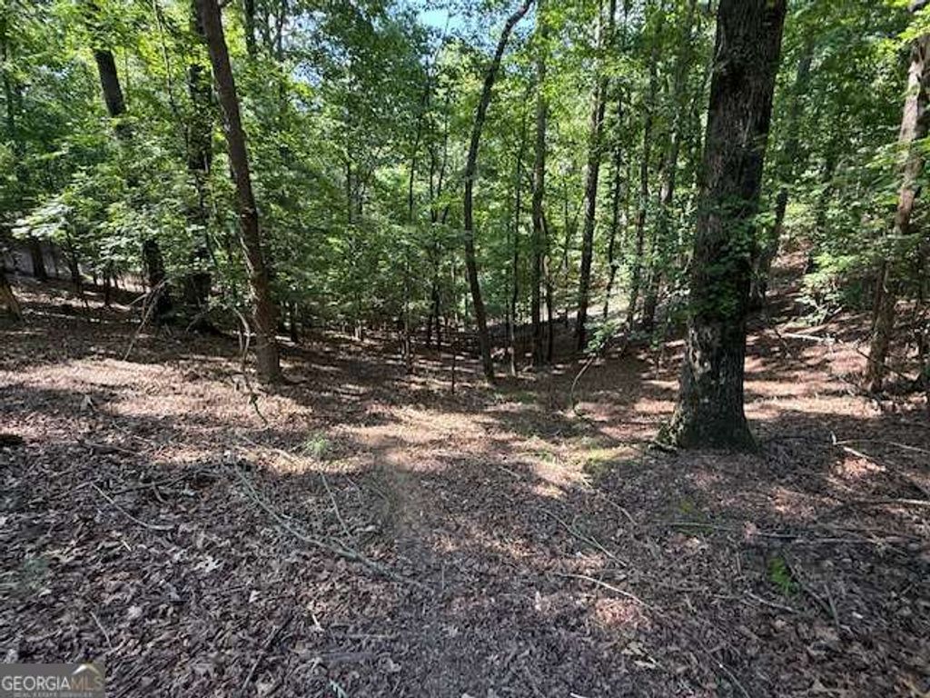 2115 Palisade Drive, Ellijay, GA 30540