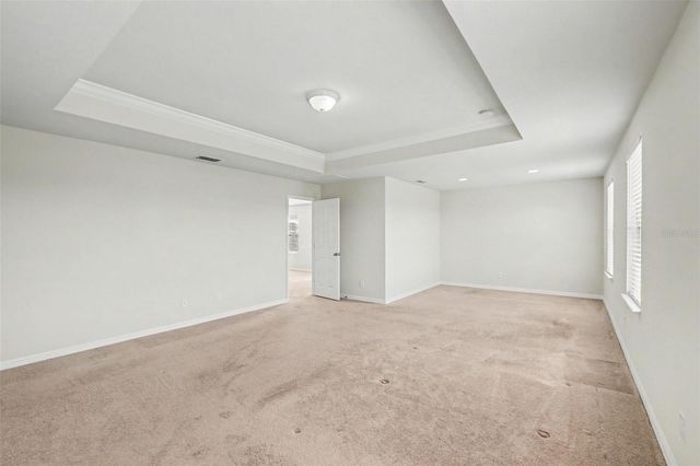 9217 EUROPEAN OLIVE WAY, Riverview, FL 33578