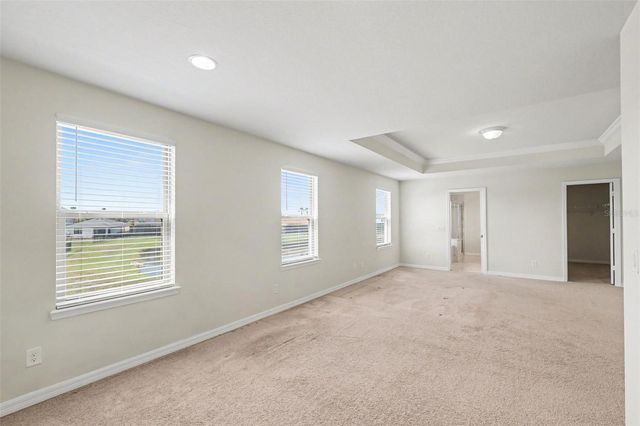 9217 EUROPEAN OLIVE WAY, Riverview, FL 33578