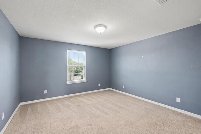 9217 EUROPEAN OLIVE WAY, Riverview, FL 33578