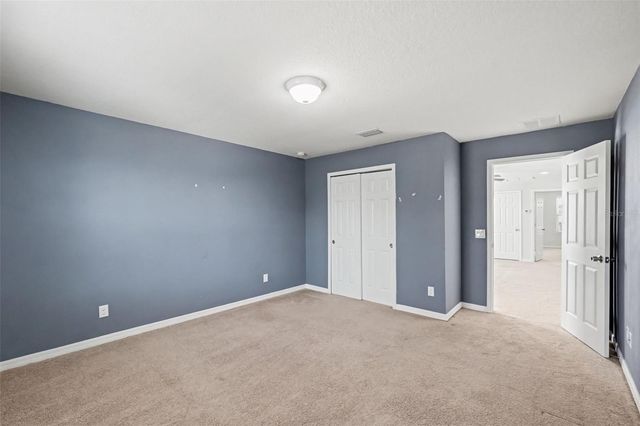 9217 EUROPEAN OLIVE WAY, Riverview, FL 33578