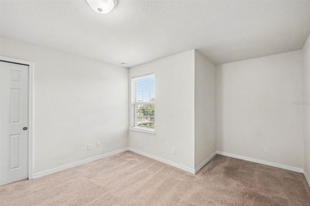 9217 EUROPEAN OLIVE WAY, Riverview, FL 33578