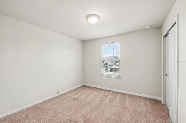 9217 EUROPEAN OLIVE WAY, Riverview, FL 33578
