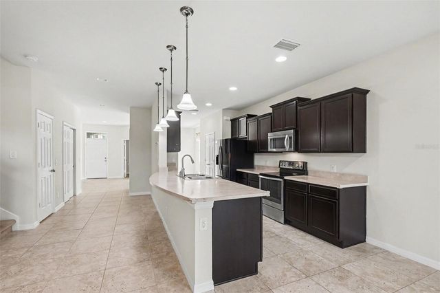 9217 EUROPEAN OLIVE WAY, Riverview, FL 33578
