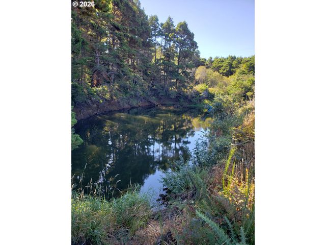 86449 CROFT LAKE Ln, Bandon, OR 97411