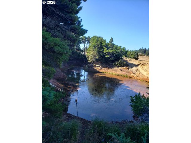 86449 CROFT LAKE Ln, Bandon, OR 97411