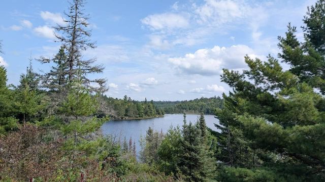 8450 Vermilion Drive, Cook, MN 55723