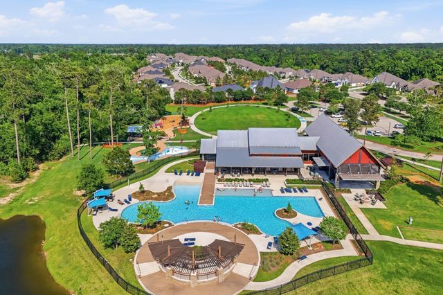 27342 Brixton Hollow Drive, Magnolia, TX 77354