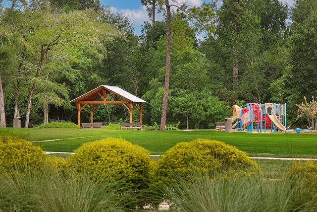 27342 Brixton Hollow Drive, Magnolia, TX 77354