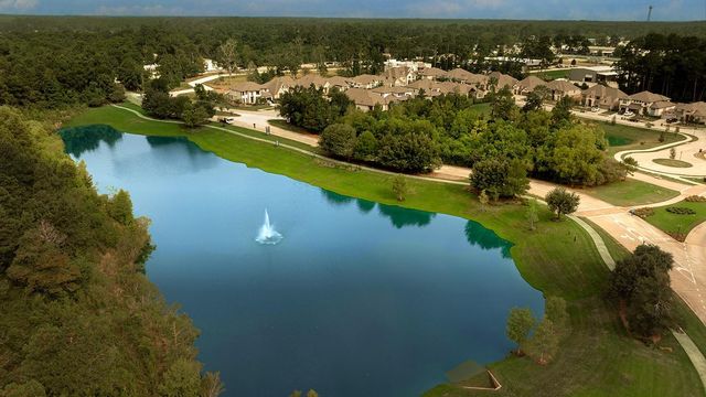 27342 Brixton Hollow Drive, Magnolia, TX 77354