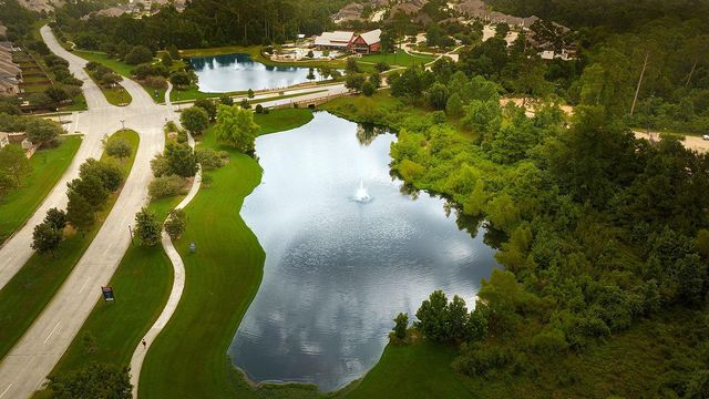 27342 Brixton Hollow Drive, Magnolia, TX 77354