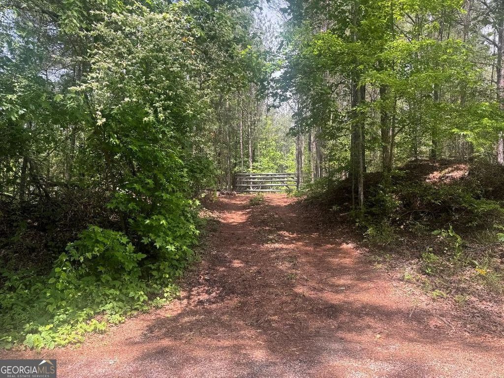 0 Butler Bridge Road, Mcdonough, GA 30252