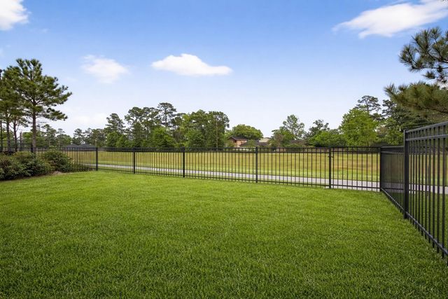 16817 Pink Wintergreen Drive, Conroe, TX 77385