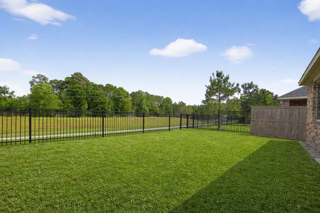 16817 Pink Wintergreen Drive, Conroe, TX 77385