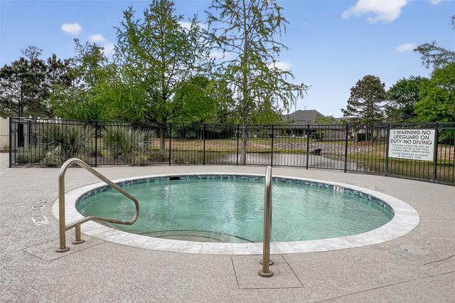 16817 Pink Wintergreen Drive, Conroe, TX 77385