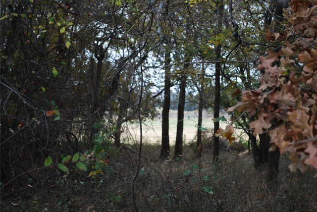 31008 Doe Run Court, Whitney, TX 76692