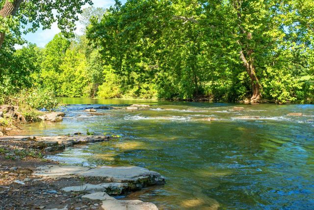 14238 PLAINS MILL RD, Timberville, VA 22853
