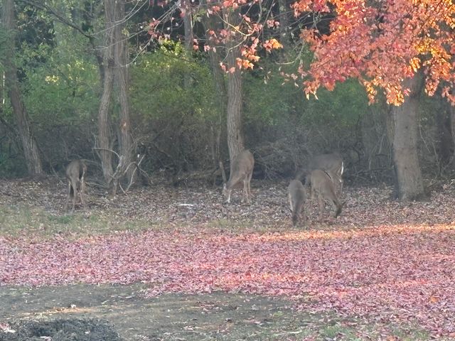 873 Hendrick Road, Norton Shores, MI 49441