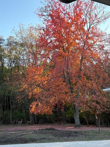 873 Hendrick Road, Norton Shores, MI 49441