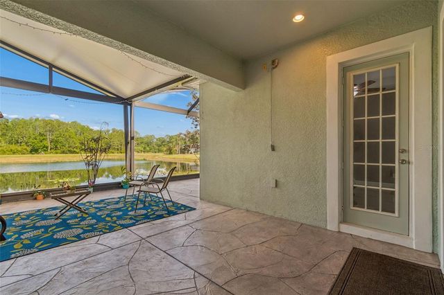 20133 HERON CROSSING DRIVE, Tampa, FL 33647