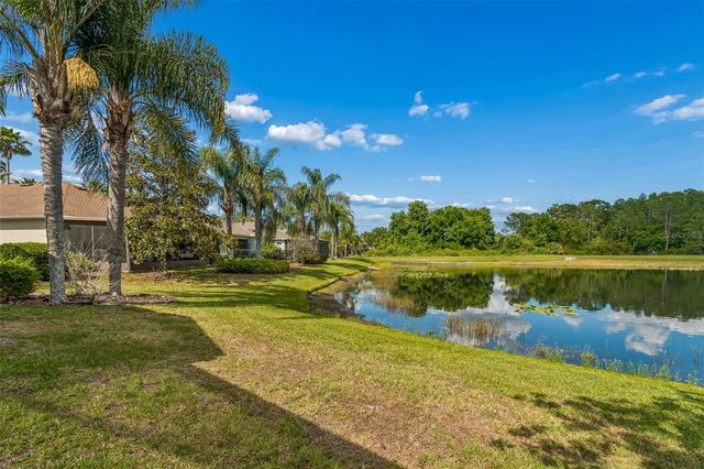 20133 HERON CROSSING DRIVE, Tampa, FL 33647