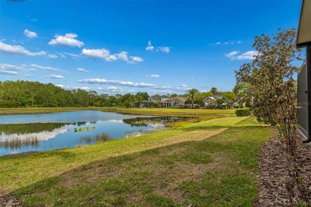 20133 HERON CROSSING DRIVE, Tampa, FL 33647