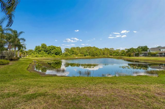 20133 HERON CROSSING DRIVE, Tampa, FL 33647