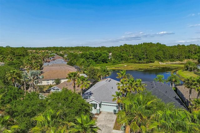 20133 HERON CROSSING DRIVE, Tampa, FL 33647