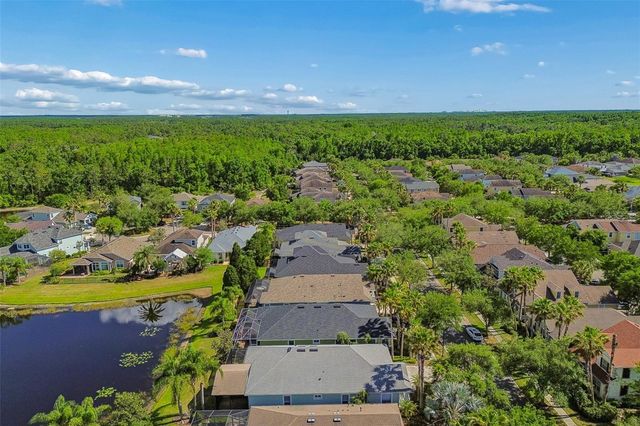 20133 HERON CROSSING DRIVE, Tampa, FL 33647