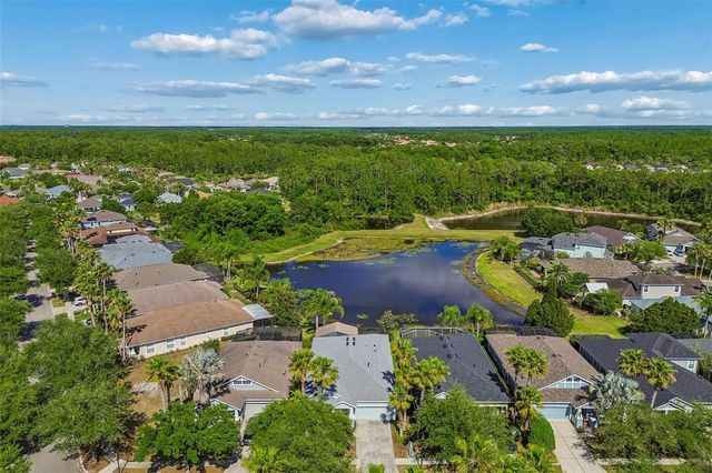 20133 HERON CROSSING DRIVE, Tampa, FL 33647