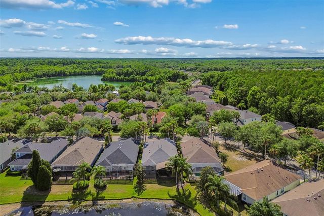 20133 HERON CROSSING DRIVE, Tampa, FL 33647