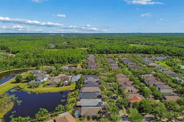 20133 HERON CROSSING DRIVE, Tampa, FL 33647