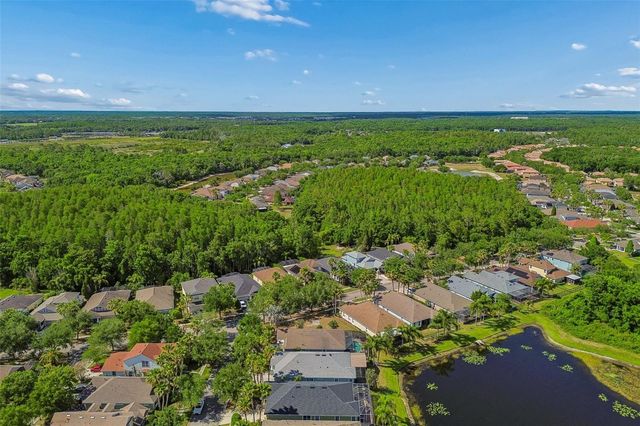 20133 HERON CROSSING DRIVE, Tampa, FL 33647