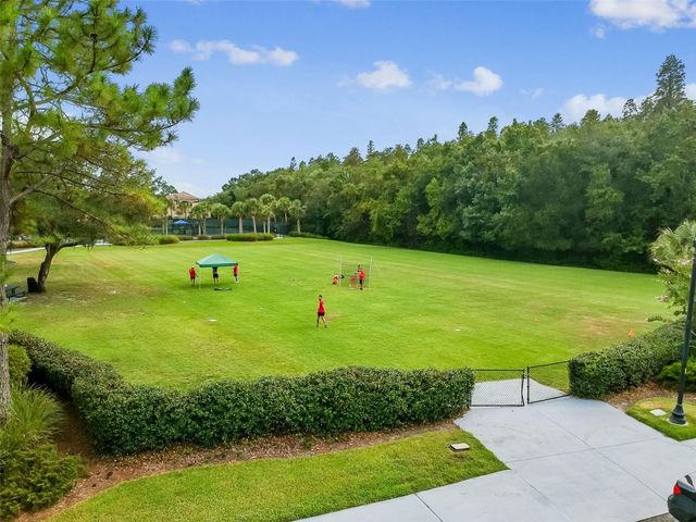 20133 HERON CROSSING DRIVE, Tampa, FL 33647