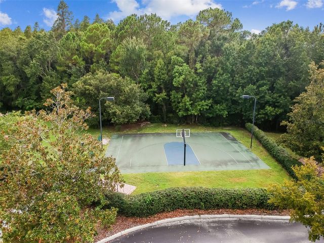 20133 HERON CROSSING DRIVE, Tampa, FL 33647