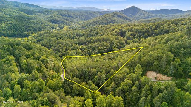 Tract 10 Dunn Creek Way, Sevierville, TN 37876