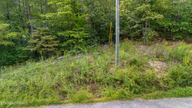 Tract 10 Dunn Creek Way, Sevierville, TN 37876